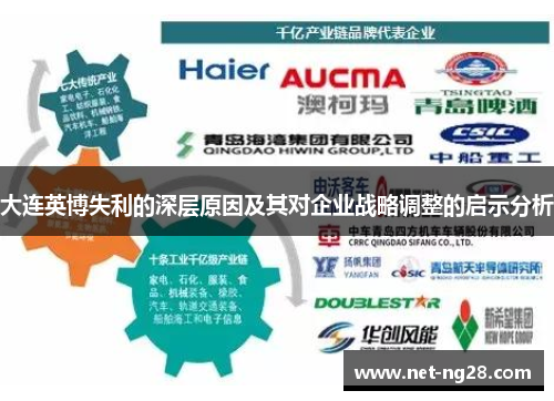 大连英博失利的深层原因及其对企业战略调整的启示分析