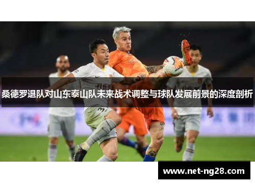 桑德罗退队对山东泰山队未来战术调整与球队发展前景的深度剖析