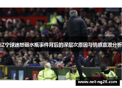 辽宁球迷怒砸水瓶事件背后的深层次原因与情感宣泄分析