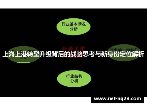 上海上港转型升级背后的战略思考与新身份定位解析