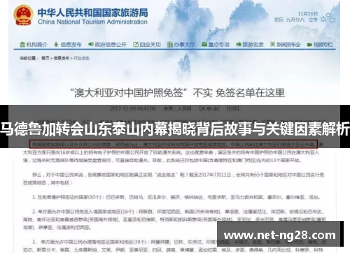 马德鲁加转会山东泰山内幕揭晓背后故事与关键因素解析